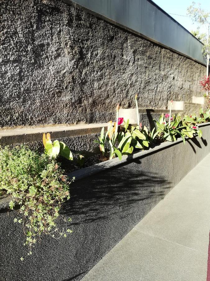 Fx Carvalhal Hotel Funchal  Eksteriør billede